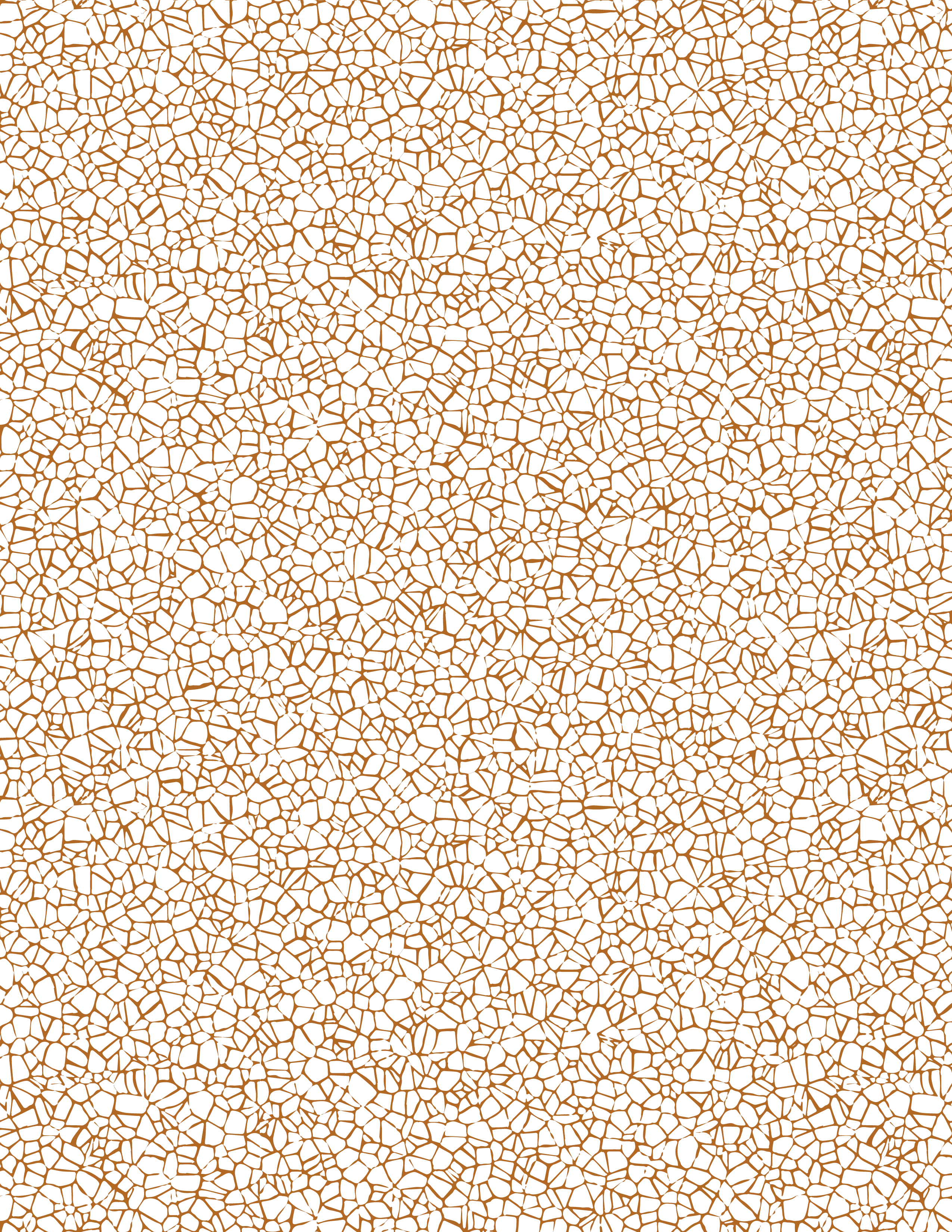 Clear background with subtle, irregular dot and speckle patterns scattered across the surface.