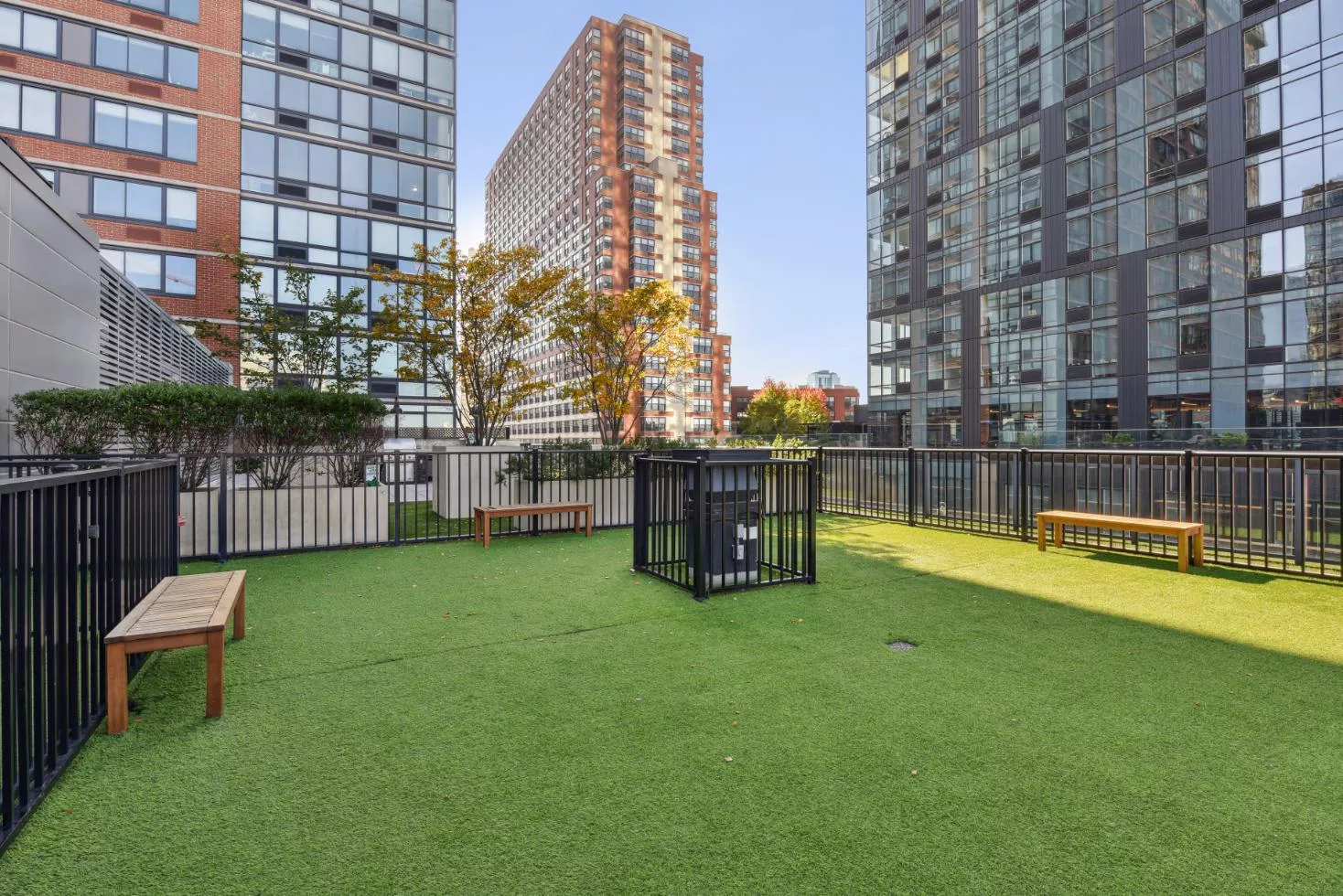 Fenced rooftop lawn area with benches and high-rise views.