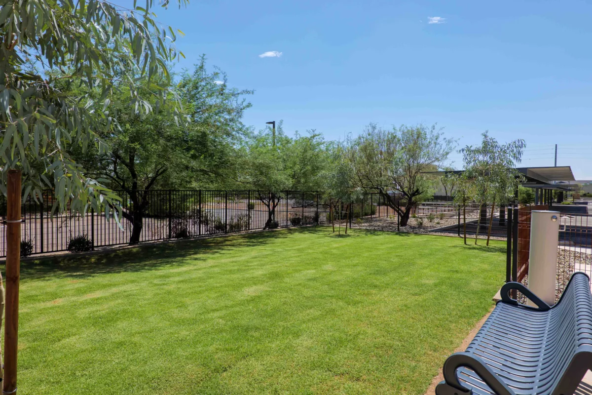 Green lawn with trees, black fence, and blue metal bench under a clear blue sky.
