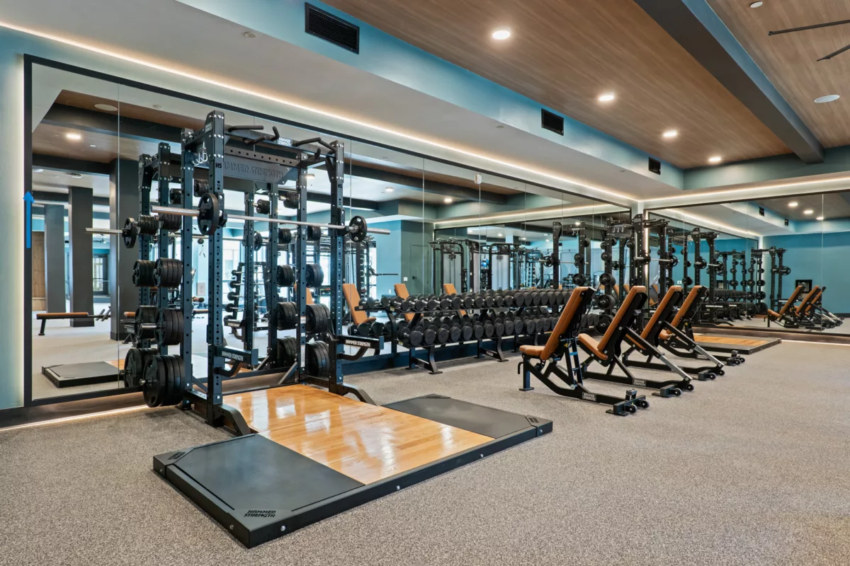 Fitness center with squat racks, free weights, and adjustable benches and a mirrored wall.