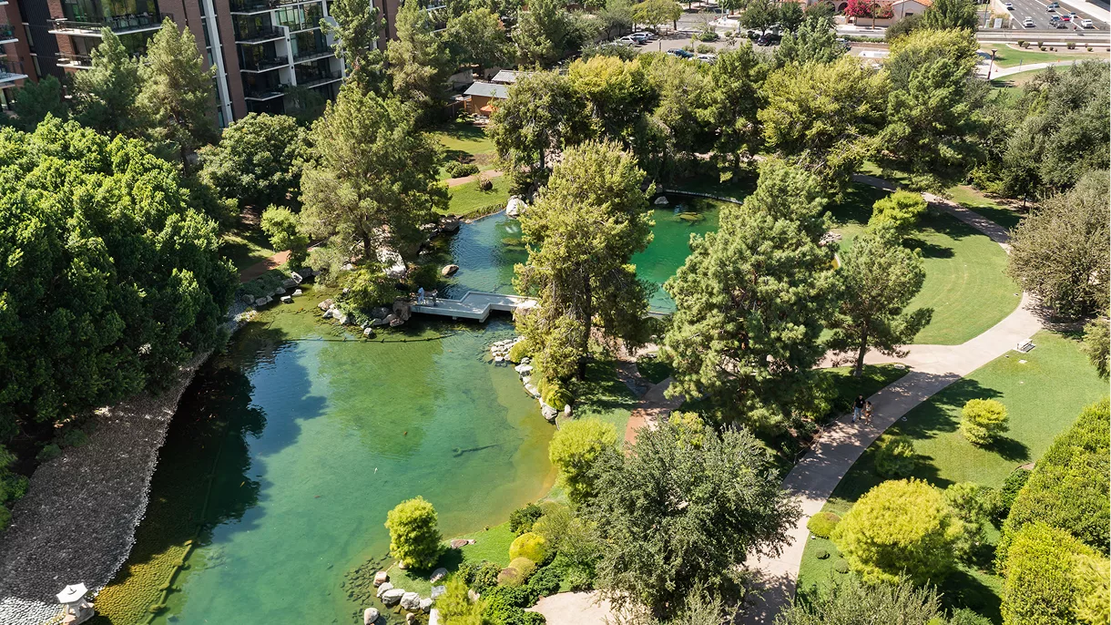 Aerial view of lush park with ponds, trees, and walking paths