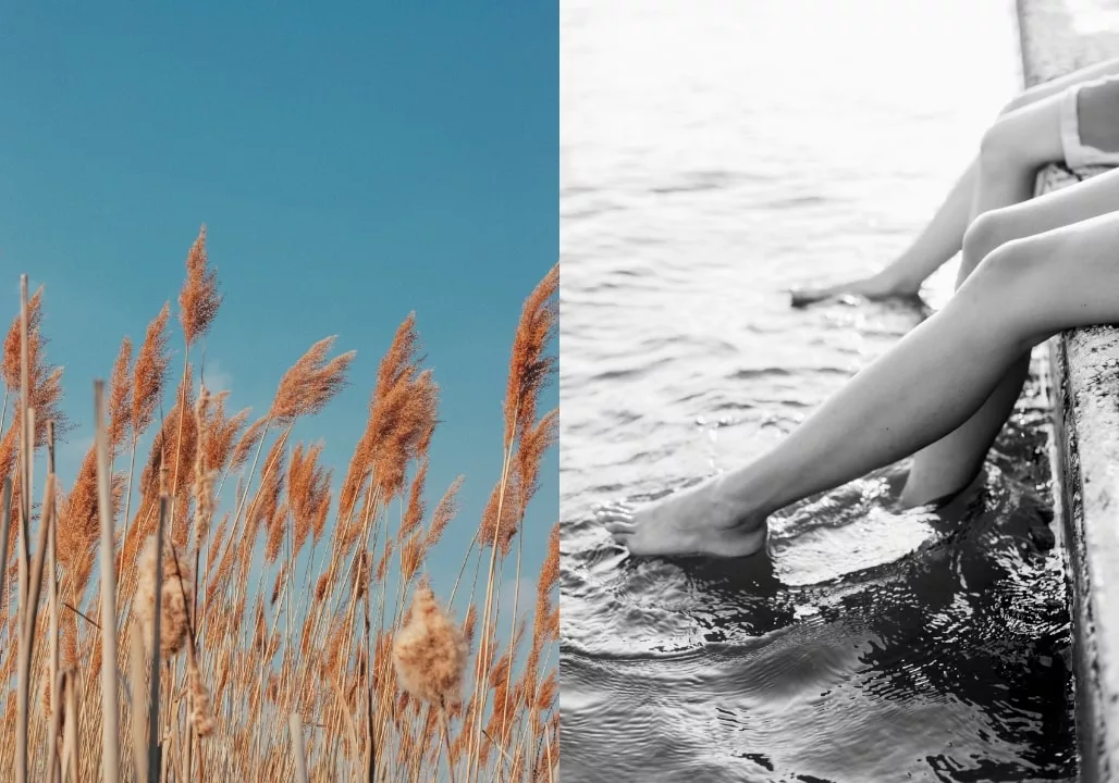 Split image of reeds in blue sky and legs dipping into water from a dock.