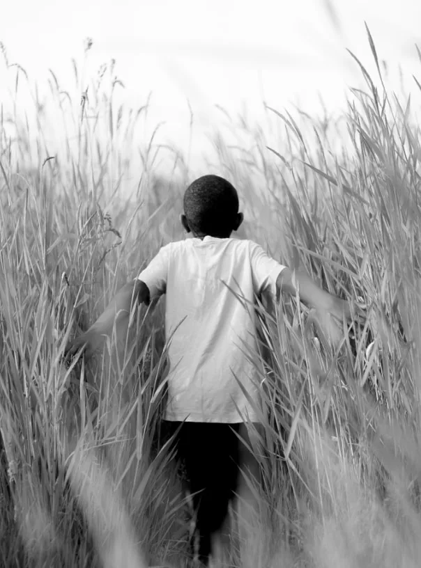 Boy walking through field