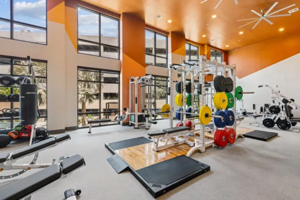 Weightlifting gym with racks, barbells, and tall windows