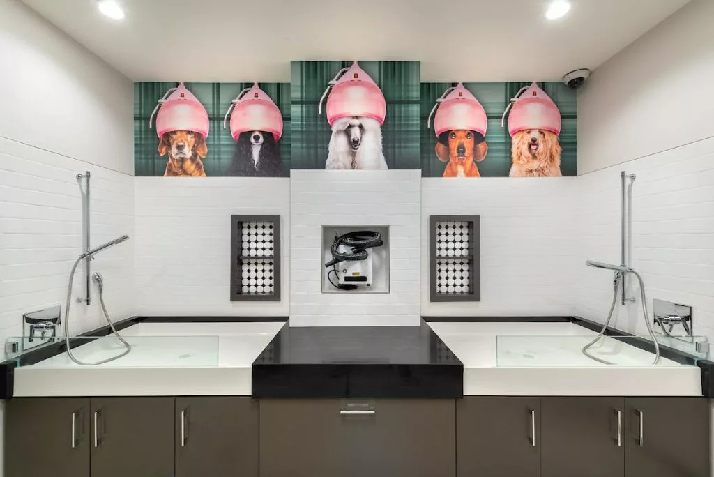 Pet spa with two wash bays, dryer, and treats
