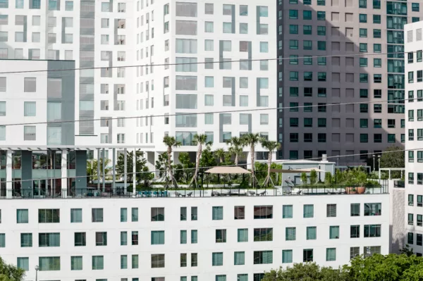 Rooftop garden with palm trees atop a modern white high-rise building