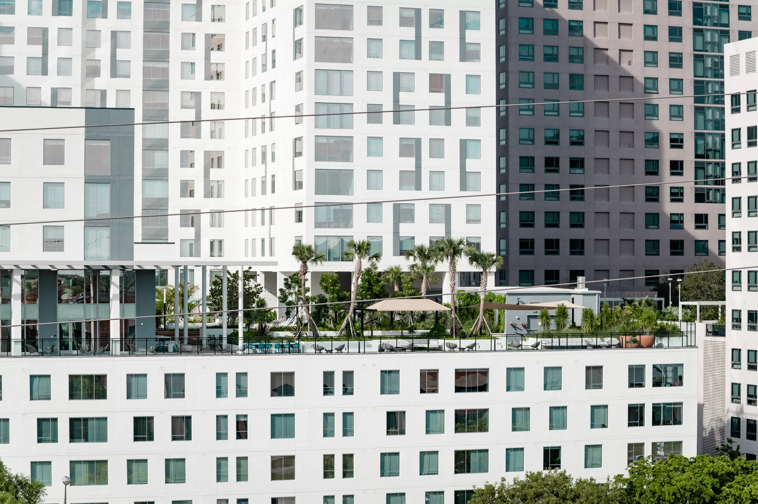 Rooftop garden with palm trees atop a modern white high-rise building