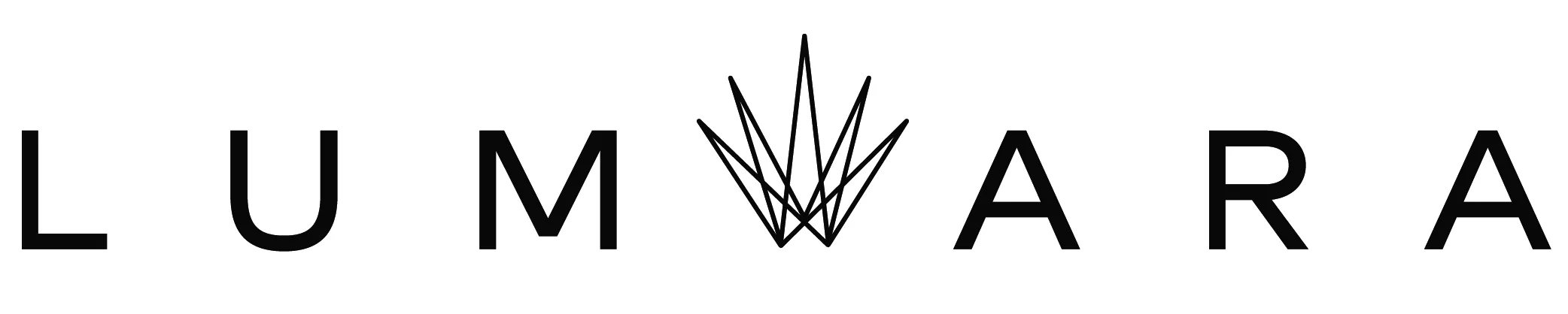 Black minimalist agave or succulent plant icon with sharp, symmetrical lines.