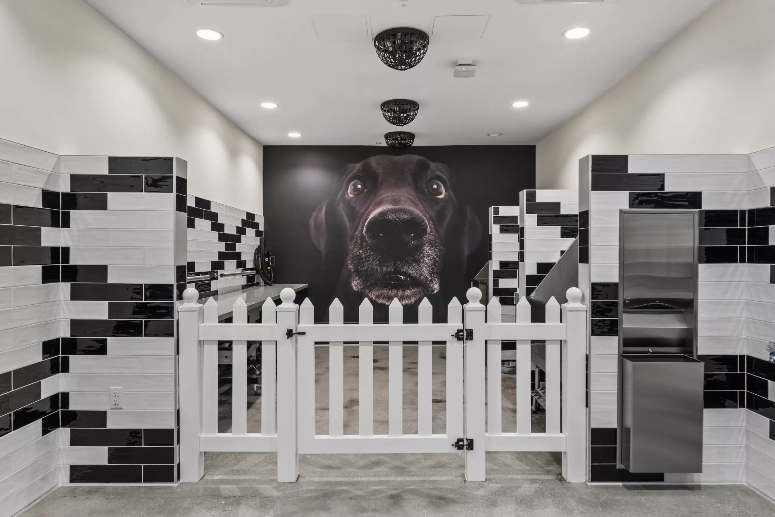 Dog wash station with tiled walls and a large mural of a black dog.