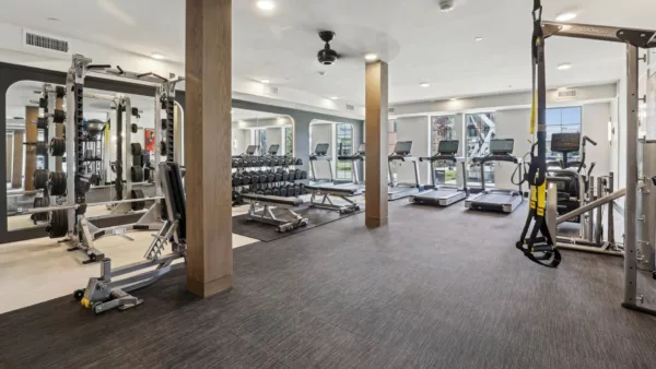 Gym with free weights, treadmills, and resistance training equipment